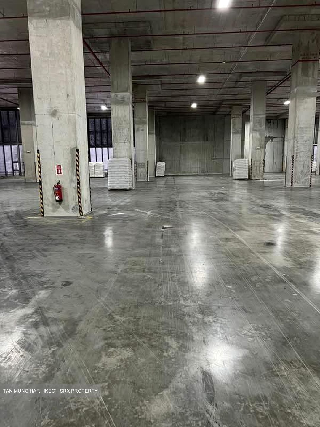 Penjuru Road (D22), Warehouse #567531881